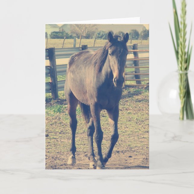 Carte Cheval convivial (Devant)