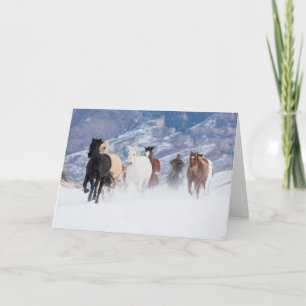 Carte Cheval courant à travers la neige