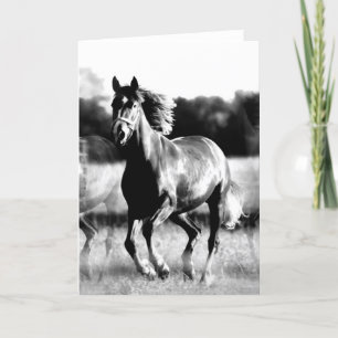 Carte Cheval courant de B&W