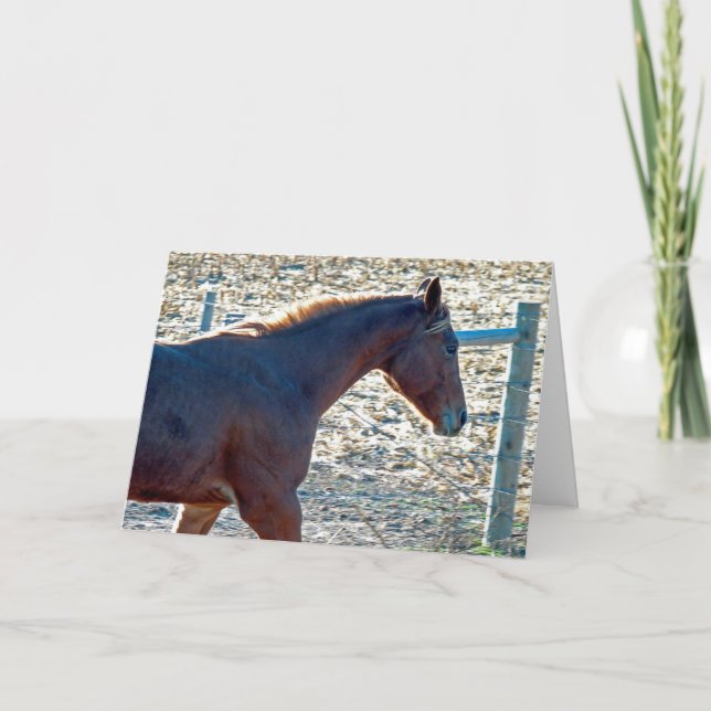 Carte Cheval d'année, Anniversaire (Devant)