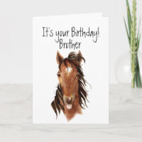 Cheval d'Anniversaire Frère plus âgé Sticout la la
