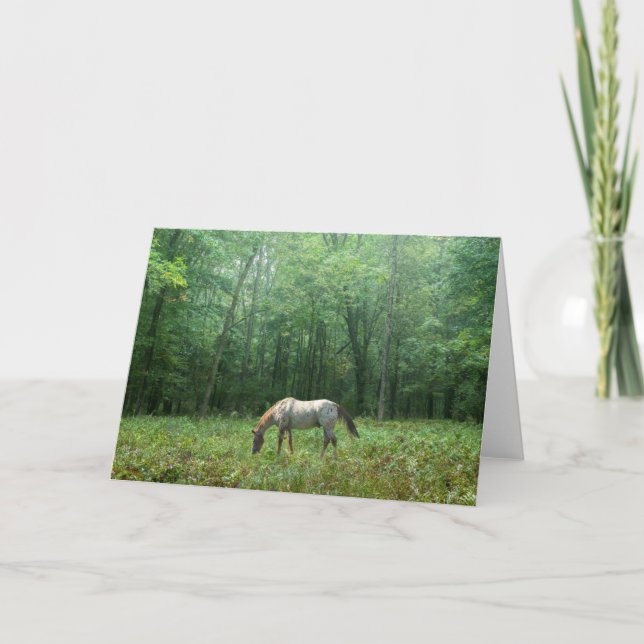 Carte Cheval dans le pré (Devant)