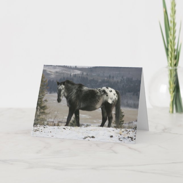 Carte Cheval d'Appaloosa dans la neige (Devant)