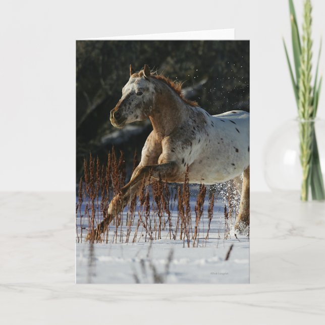 Carte Cheval d'Appaloosa fonctionnant dans la neige (Devant)