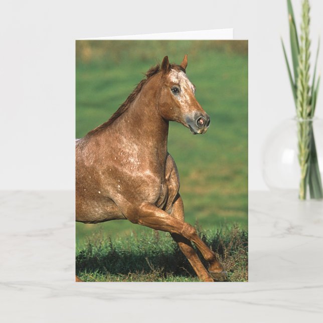 Carte Cheval d'Appaloosa fonctionnant dans le domaine (Devant)