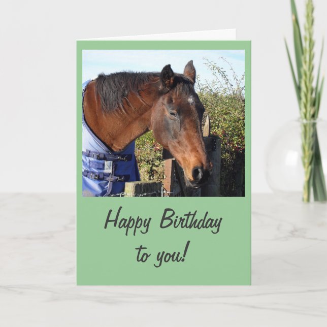 Carte Cheval de châtaignes 'Joyeux anniversaire' (Devant)