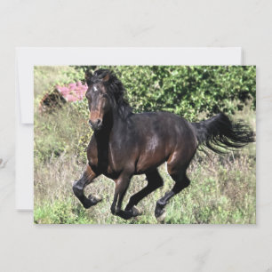 Carte Cheval de châtaignier à galop