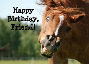 Invitations Faire Part Cartes Joyeux Anniversaire Cheval Zazzle Ca