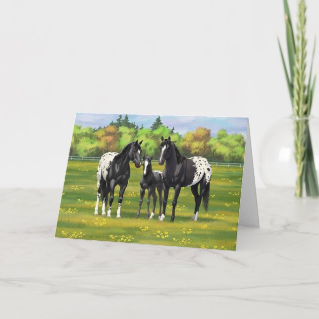 Carte Cheval De L'Appaloosa Noir Dans Le Pâturage D'Été (Devant)