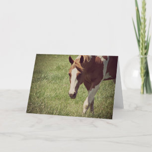 Carte Cheval de peinture clinquant Toutes les occasions