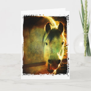 Carte Cheval de rire, anniversaire