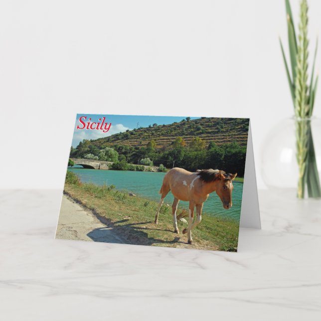 Carte Cheval de Sicile (Devant)