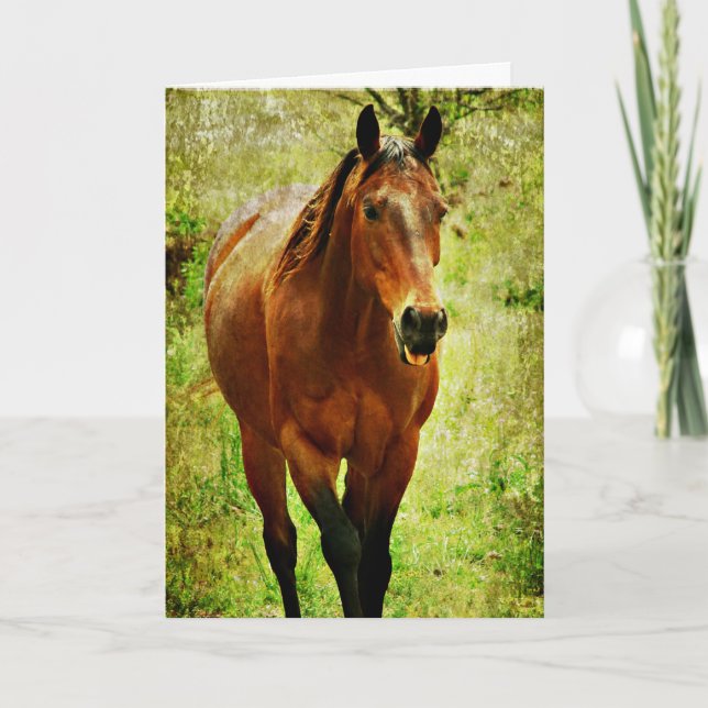 Carte Cheval Drôle, Anniversaire (Devant)