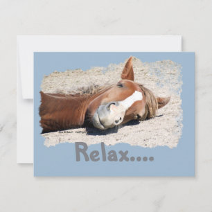 Carte Cheval drôle : Relax
