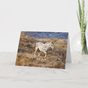 Carte Cheval errant dans les collines pittoresques du Bi