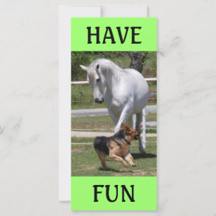 CARTE CHEVAL ET CHIEN JOUER