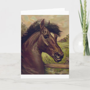 Carte cheval ferme ranch sports western equine pet