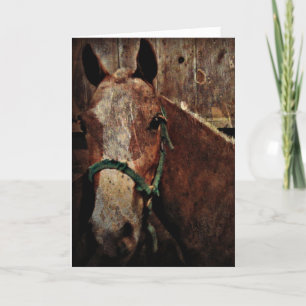 Carte Cheval, Fête des pères