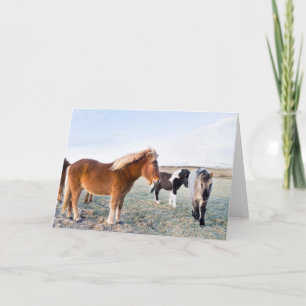 Carte Cheval islandais en hiver en Islande