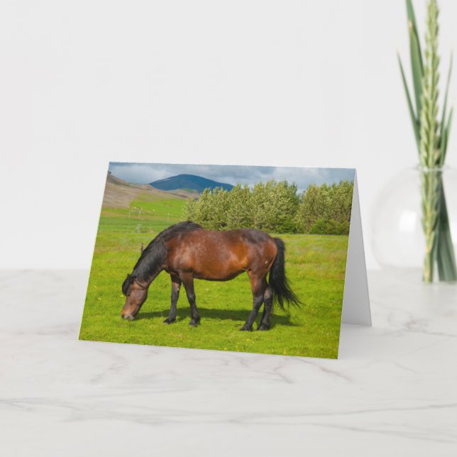 Carte Cheval islandais Mossfellsbaer (Devant)