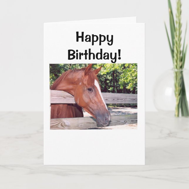 Carte Cheval, joyeux anniversaire ! (Devant)