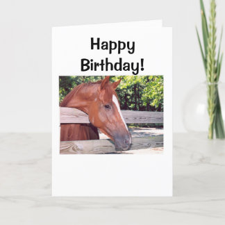 Carte Cheval, joyeux anniversaire !