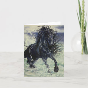Carte Cheval noir d'étalon "de Staorm frison" dans