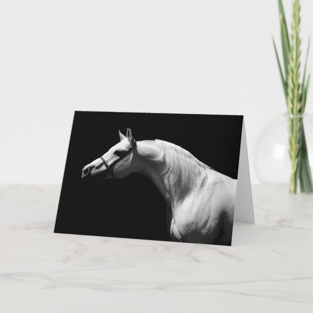 Carte Cheval noir et blanc (Devant)