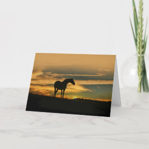 Carte Cheval Nuages et coucher de soleil Penser à vous
