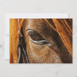 Carte Cheval oeil