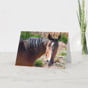 Carte Cheval quart américain de grande baie - masquez à
