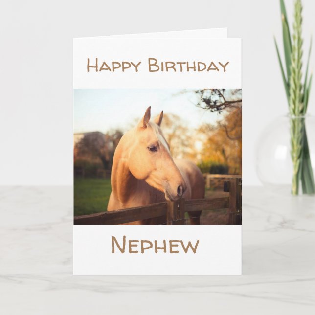CARTE CHEVAL QUE VOUS AIMEZ ENVOIE ANNIVERSAIRE SOUHAITE (Devant)