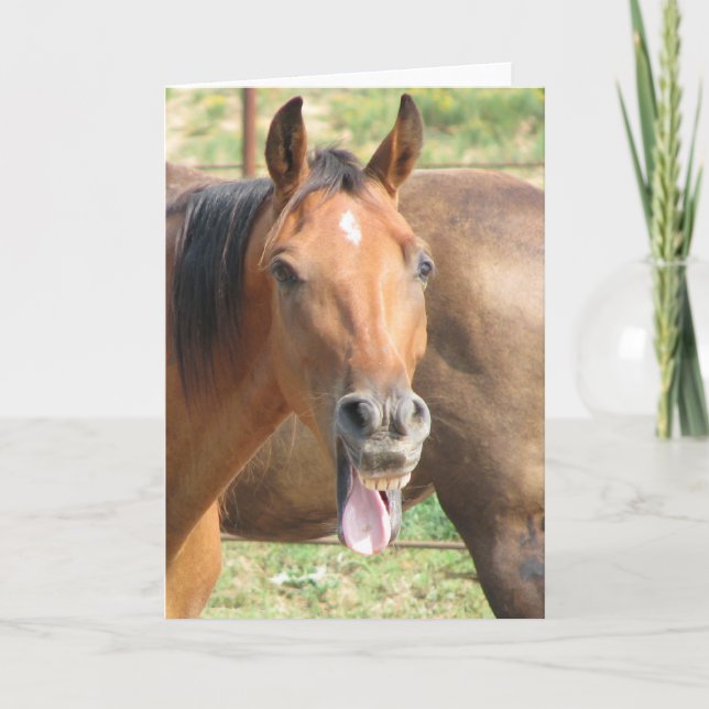 Carte Cheval riant (Devant)