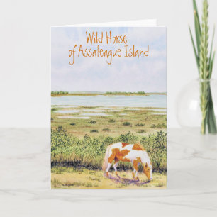 Carte Cheval sauvage de l'île d'Assateague
