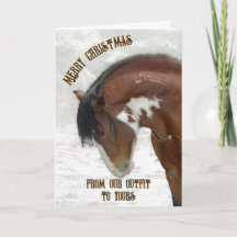 Cheval sauvage en Noël de neige