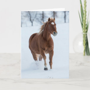 Carte Cheval simple courant dans la neige