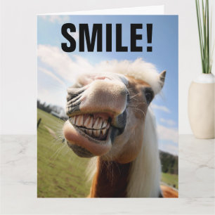 CARTE CHEVAL SOURIRE FUNNY BANTHDAE GREETING CARD