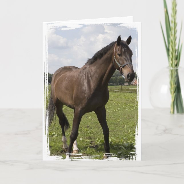 Carte Cheval Thoroughbred (Devant)