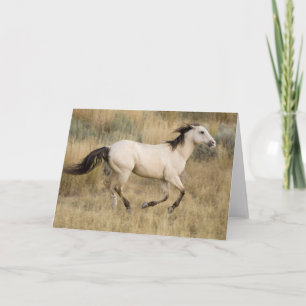 Carte Cheval Traversant L'Herbe Des Prairies