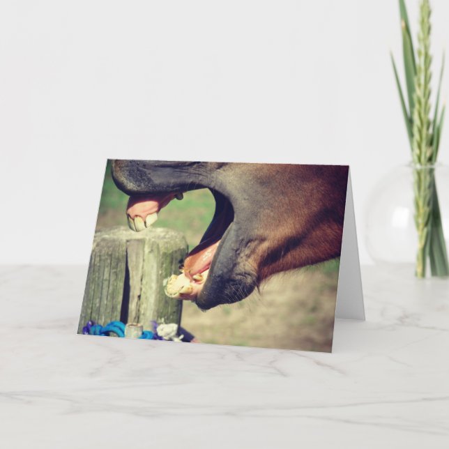 Carte Cheval Yawn (Devant)