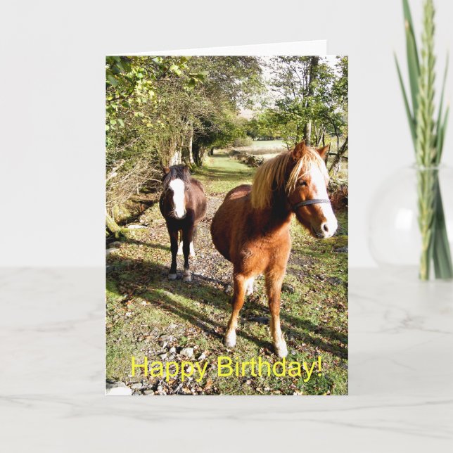 CARTE CHEVAUX (Devant)