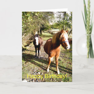 CARTE CHEVAUX