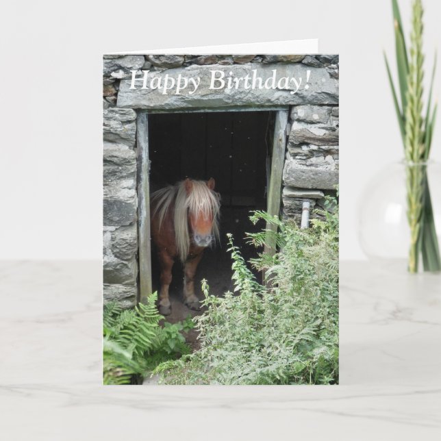 CARTE CHEVAUX (Devant)