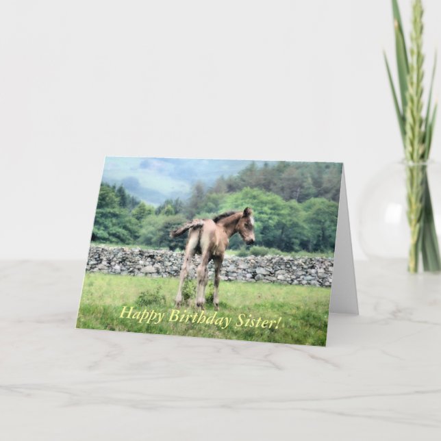 CARTE CHEVAUX (Devant)