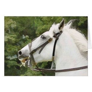 CARTE CHEVAUX