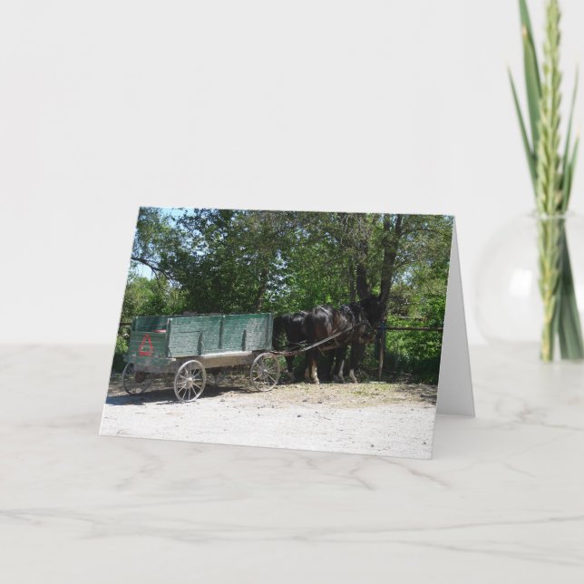 Carte Chevaux Amish (Devant)