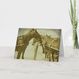 Carte Chevaux amish, anniversaire