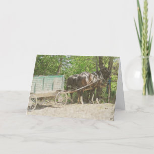 Carte Chevaux Amish et Wagon