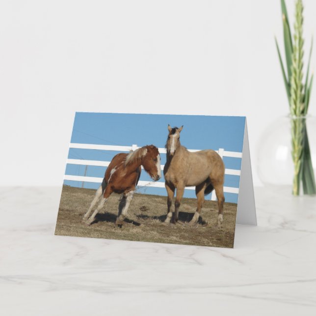 Carte Chevaux Argue, Amis Forever (Devant)