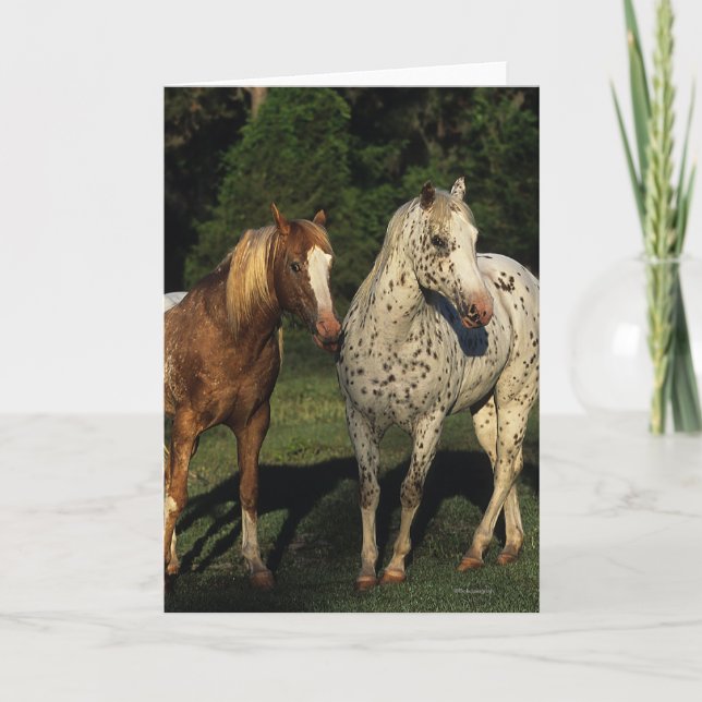 Carte Chevaux d'Appaloosa (Devant)